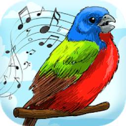 Bird Sounds Ringtones - Reminder App With Alarm