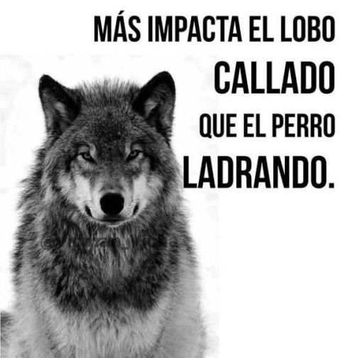 Frases Sabias Imagenes HD screenshot 4