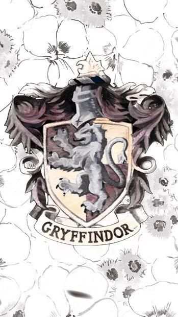 Harry Potter Hd Wallpapers screenshot 7