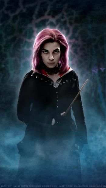 Harry Potter Hd Wallpapers screenshot 1
