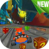 Crash Bandicoot Car Race