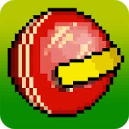 Sandy Balls Cricket