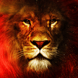 Webaslan - Galatasaray Haber icon