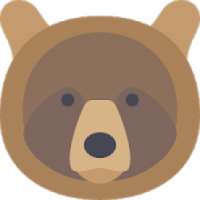 Bear VPN Browser - Simple and Fastest Browser VPN