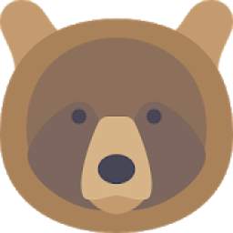 BearBrowserVPN 51