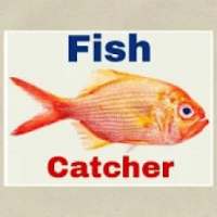 Fish Catcher Man