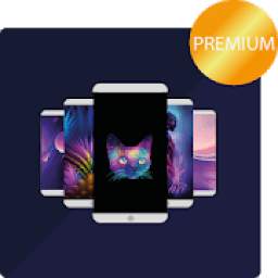 Galeri / Premium Wallpaper 3.0