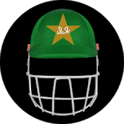 PSL helmets icon