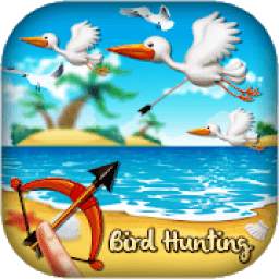 Archery Birds Hunting : Duck Hunting