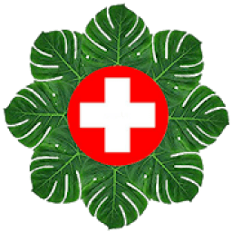 घरेलु डॉक्टर - Doctor at Home आइकन