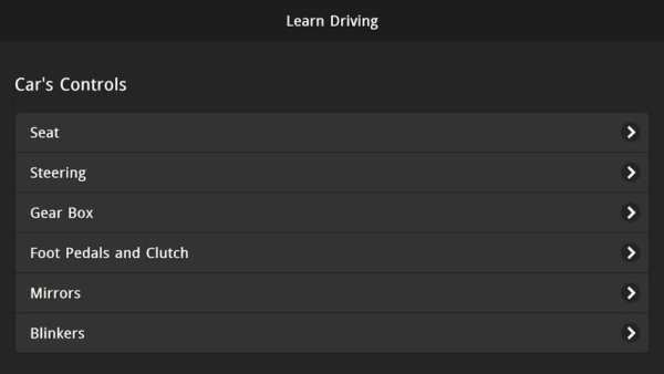 Learn Driving Offline screenshot 3
