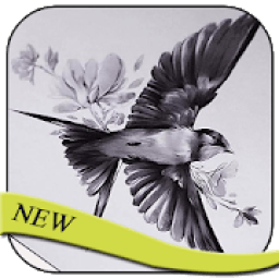 Bird Tattos Design आइकन