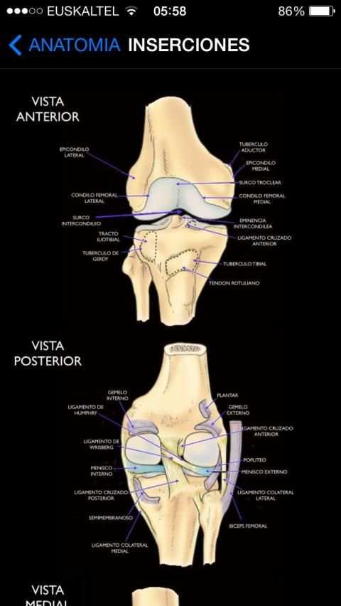 Rodilla Ap स्क्रीनशॉट 7