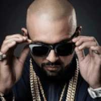 Sean Paul ( hits)/without internet offline music on 9Apps