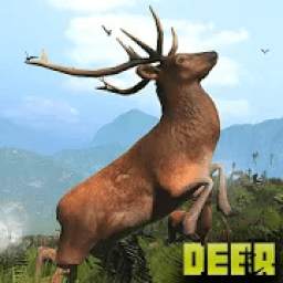 Deer Hunting Games 2019 - Animal Hunting