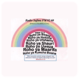 Radio Safina FM - Pro icon