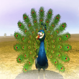 Musica para niños – El Pavo y la Pava आइकन