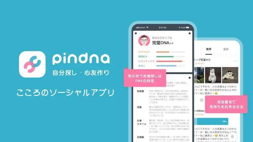 Descarga De La Aplicacion Pindna 21 Gratis 9apps