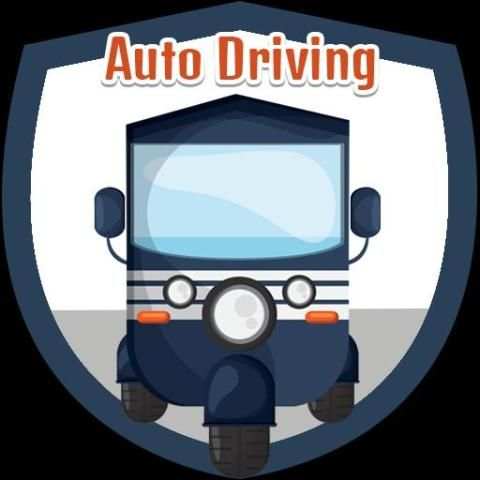 Auto Driving screenshot 2