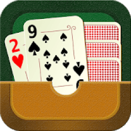 ikon 29 Card Game Plus