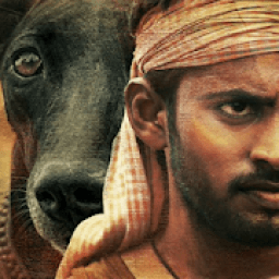 Pariyerum Perumal HD Full Movie icon