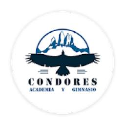 Academia y Gimnasio Cóndores