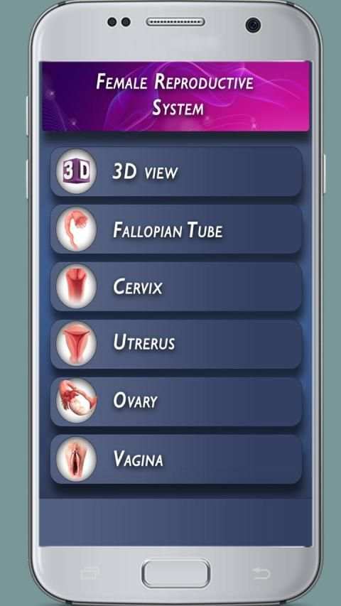 Female Reproductive System 3D screenshot 7