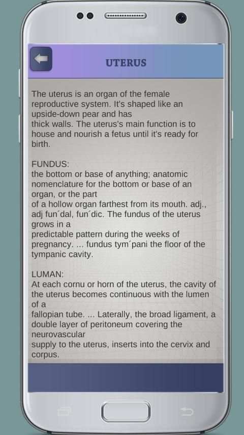 Female Reproductive System 3D screenshot 1