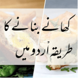 Pakistani Recipes Urdu आइकन