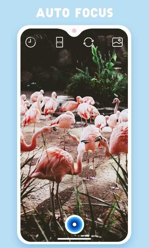 Dits Camera स्क्रीनशॉट 3