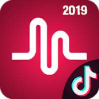 Tik tok & Musically Guide & tips 2019 on 9Apps