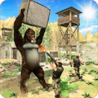 Wild Gorilla Jail Escape – Angry Ape Survival