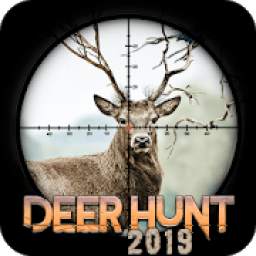 Deer Hunter Sniper Safari Hunt 1.0