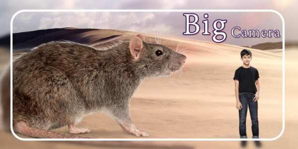 Big Camera Photo Editor - Make Me Bigger screenshot 9