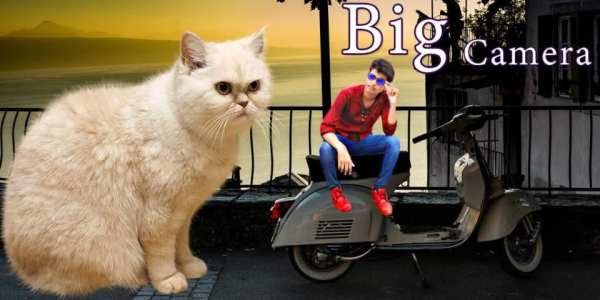 Big Camera Photo Editor - Make Me Bigger screenshot 11