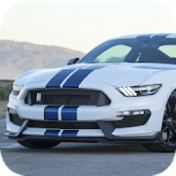 Mustang Car Drift Simulator icon