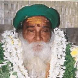 Yogi Ramsuratkumar Satsangs