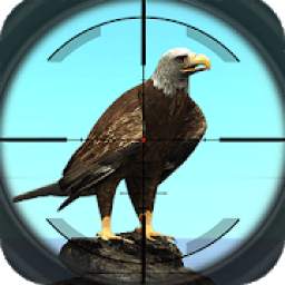 Desert Birds Sniper Shooter - Bird Hunting 2018