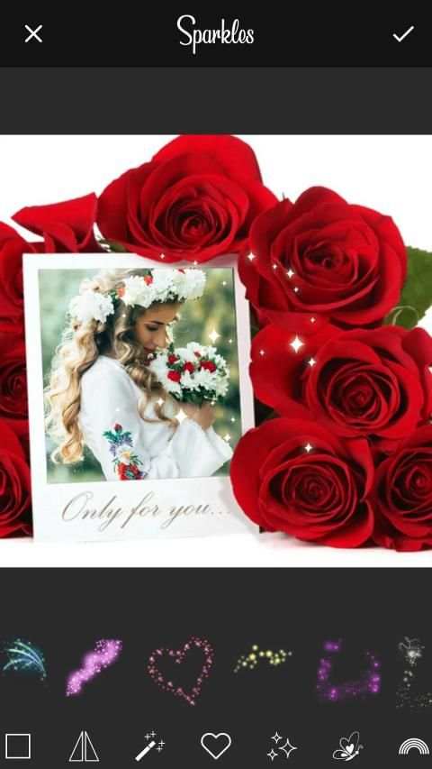 Rose Photo Frames New स्क्रीनशॉट 2