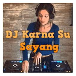 DJ Karna Su Sayang 1.0