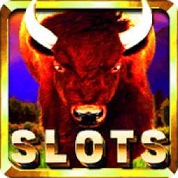 Slots Buffalo King 5.6