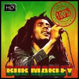 Bob Marley Songs | No Internet