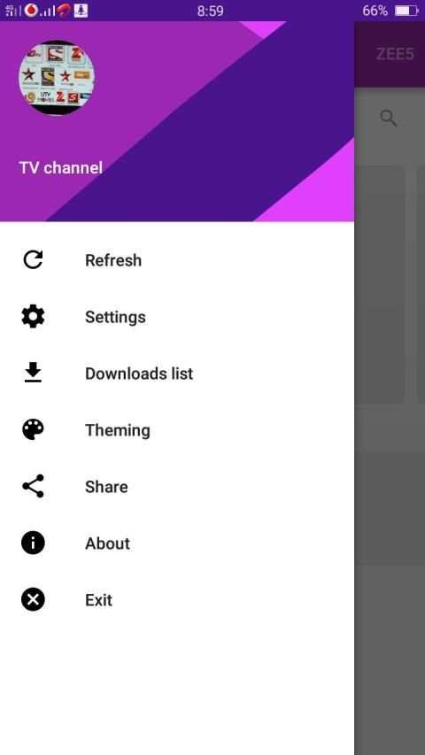 TV channel स्क्रीनशॉट 5