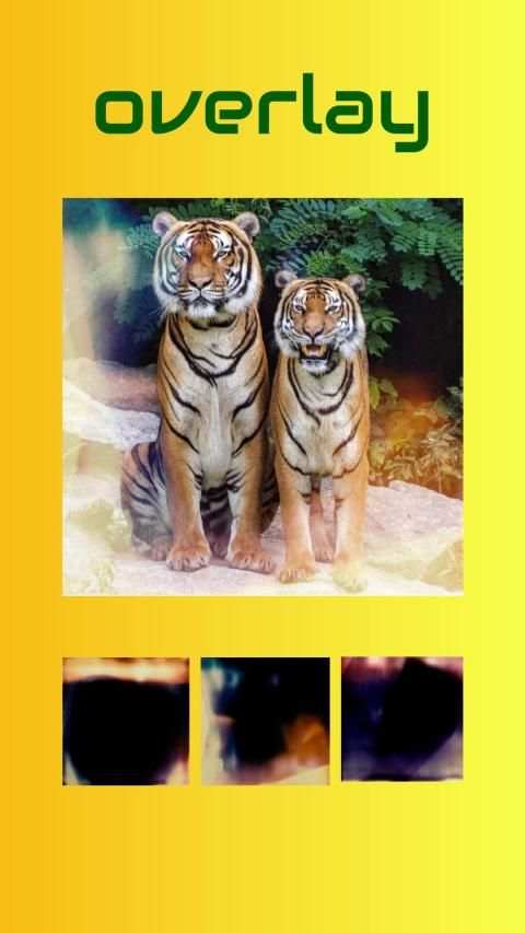 Easy Edit - Text on Photo and Stickers screenshot 1