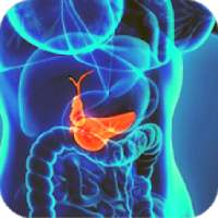 abdominal ultrasound of gallbladder on 9Apps