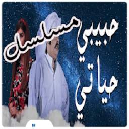 مسلسل حبيبي حياتي 1.0