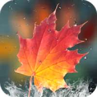 autumn live wallpaper on 9Apps