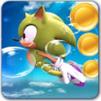 Subway Sonic Rash Run