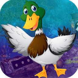 Best Escape Games 112 Mallard Duck Rescue Game 1.0.0