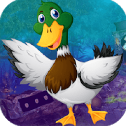ikon Best Escape Games 112 Mallard Duck Rescue Game